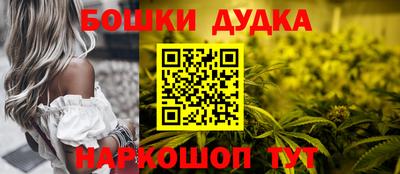гашик Малгобек