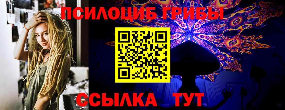 Псилоцибиновые грибы прущие грибы Гуково